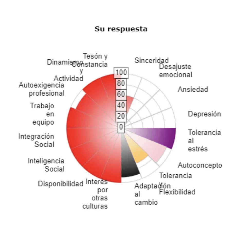 Curso Test de personalidad y competencias Curso Test de personalidad y competencias